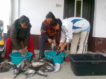 Caccia in Ungheria - Sono in grado far spennare e spellare gli animali